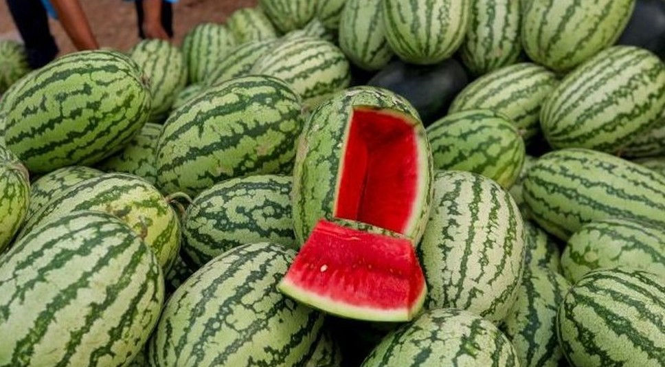 পানিশূন্যতা ও হৃদরোগ এড়াতে যা খাবেন
