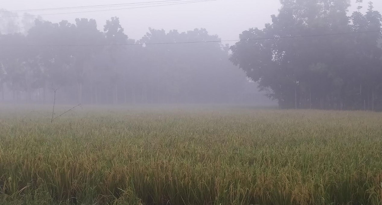 পঞ্চগড়ের তাপমাত্রা নামল ১২ ডিগ্রিতে 