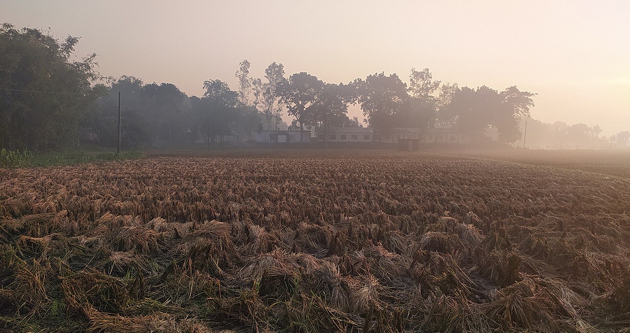 পঞ্চগড়ে জেঁকে বসেছে শীত, তাপমাত্রা নামল ১২ ডিগ্রিতে