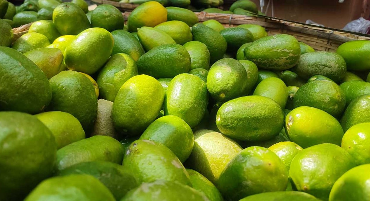 চোখ রাঙাচ্ছে লেবু, ছোঁয়া যাচ্ছে না বেগুন