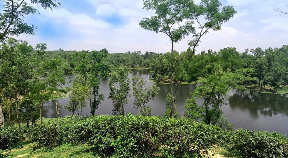 একদিনে শ্রীমঙ্গল ট্যুর প্ল্যান