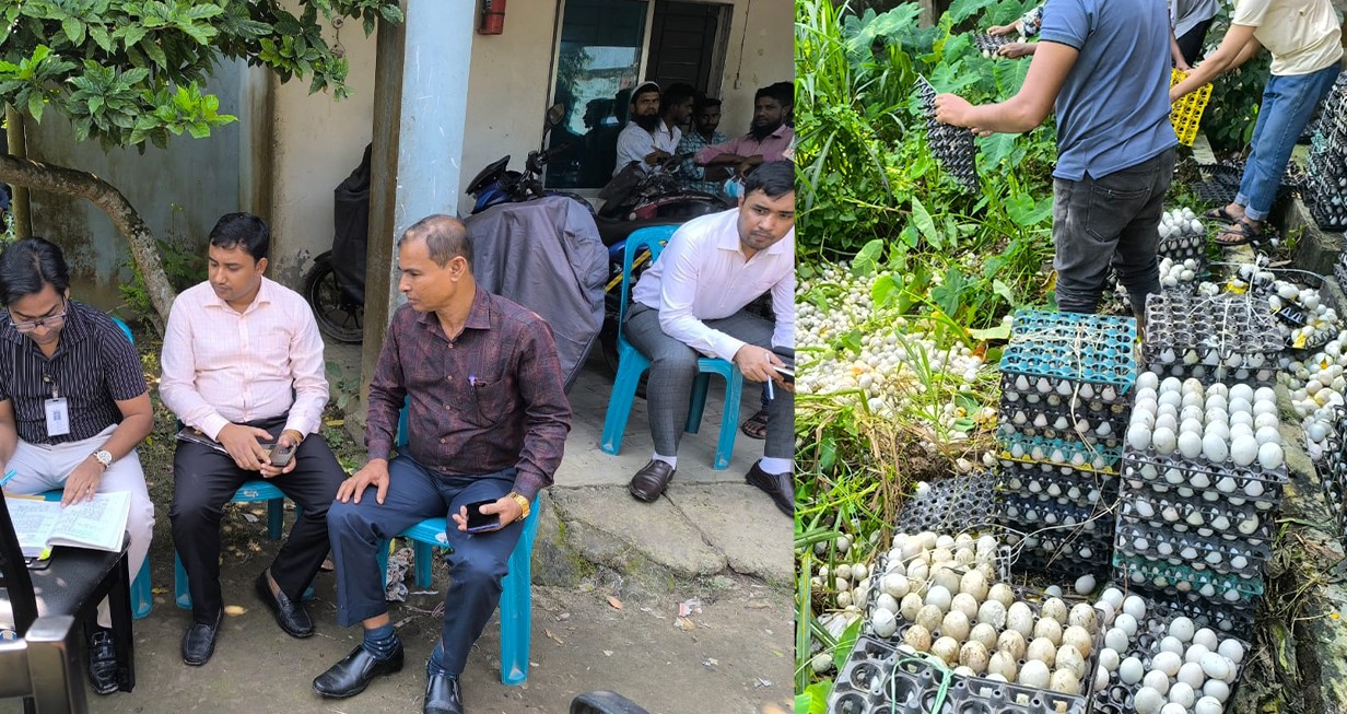 পাকুন্দিয়ায় দুই লাখ পচা ডিম ধ্বংস, জরিমানা তিন লাখ টাকা