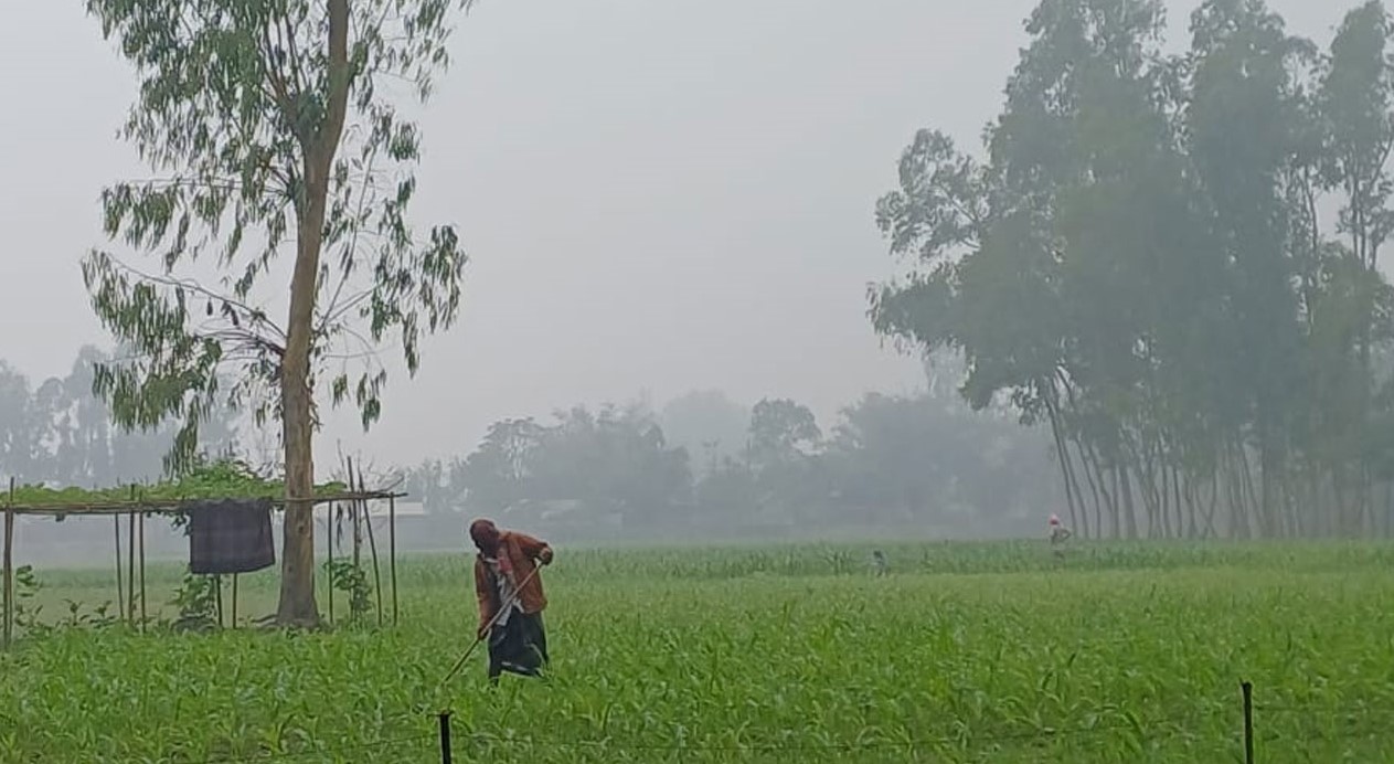 শৈত্যপ্রবাহের কবলে উত্তরবঙ্গ, দাপট থাকবে ঘন কুয়াশার