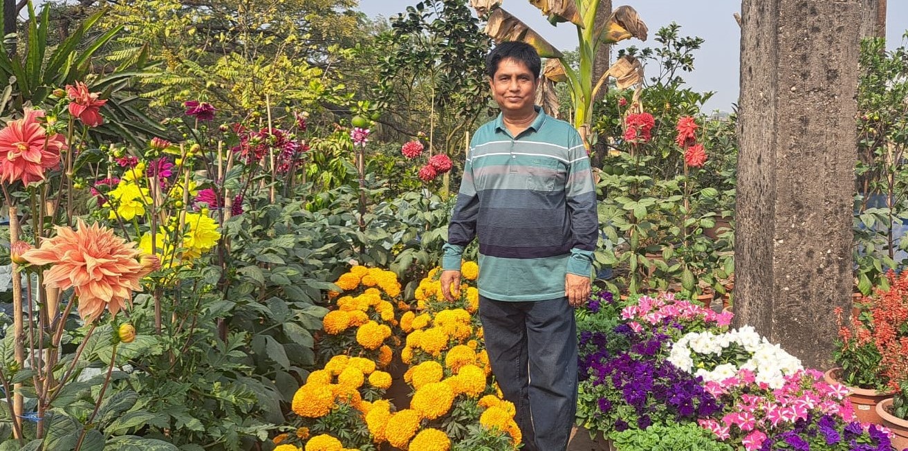 বাঞ্ছারামপুরে সমাজসেবী রিপনের ছাদ বাগান এলাকায় সাড়া ফেলেছে