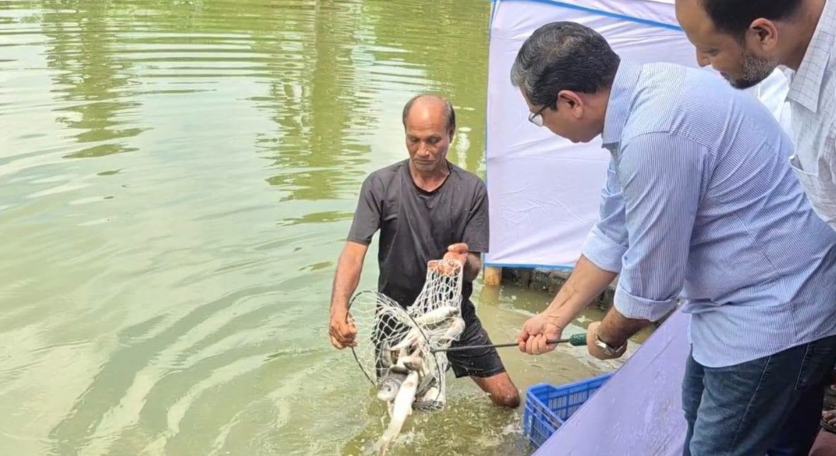 আওয়ামী লীগের নির্বাচনের সুযোগ নেই: শাহে আলম