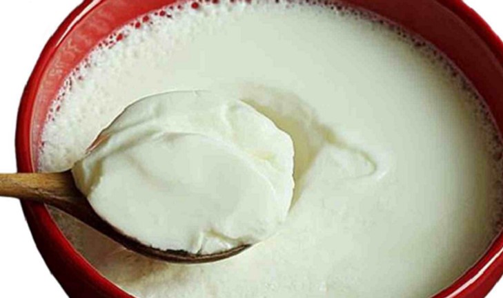 প্রতি রাতে দই খেলে কী হয়?