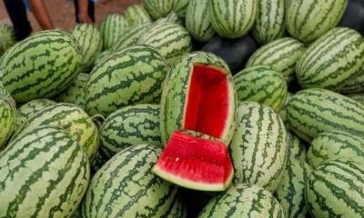 পানিশূন্যতা ও হৃদরোগ এড়াতে যা খাবেন