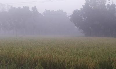 পঞ্চগড়ের তাপমাত্রা নামল ১২ ডিগ্রিতে 