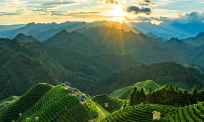 গরমে আরামের ভ্রমণ পাহাড়ে