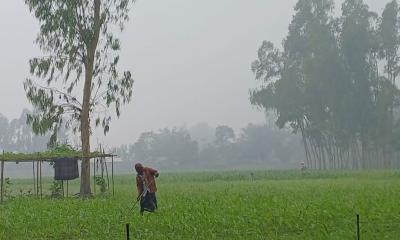 শৈত্যপ্রবাহের কবলে উত্তরবঙ্গ, দাপট থাকবে ঘন কুয়াশার