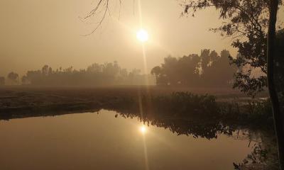 ঝলমলে রোদেও পঞ্চগড়ে মাঝারি শৈত্যপ্রবাহ