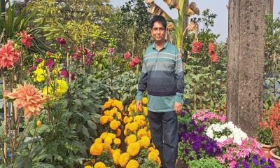 বাঞ্ছারামপুরে সমাজসেবী রিপনের ছাদ বাগান এলাকায় সাড়া ফেলেছে